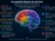 illustration scientifique des grands réseaux du cerveau avec schéma coloré des circuits impliqués dans la peur, la récompense, l’attention, la mémoire, les habitudes, les fonctions exécutives et la boucle corps cerveau